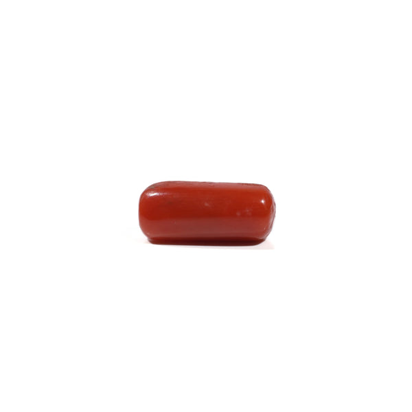 Red Coral - 4.8 Carat - Pramogh