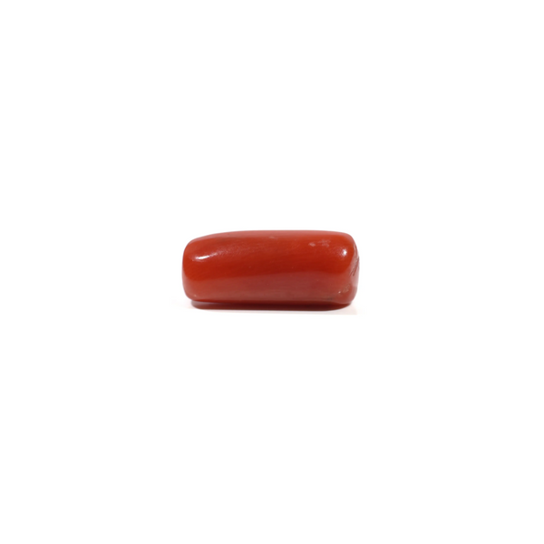 Red Coral - 4.8 Carat