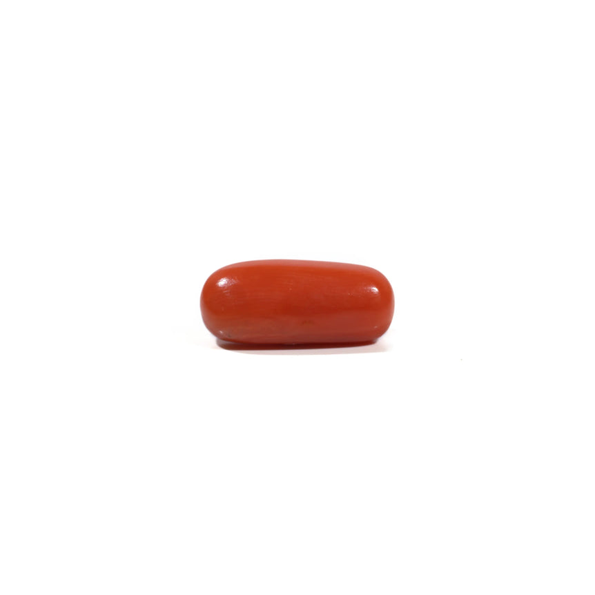 Red Coral - 6.6 Carat - Pramogh
