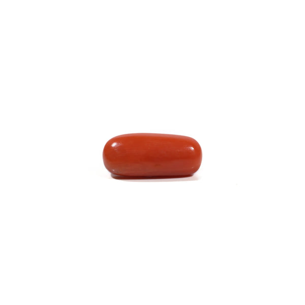 Red Coral - 6.6 Carat - Pramogh