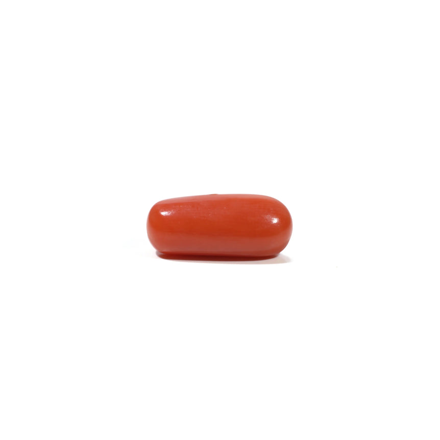 Red Coral - 6.6 Carat