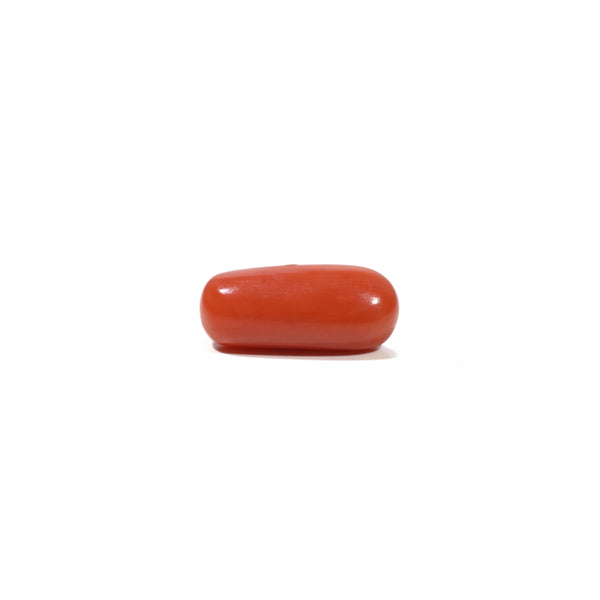 Red Coral - 6.6 Carat