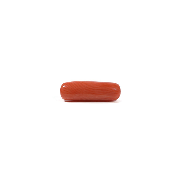 Red Coral - 4.95 Carat - Pramogh