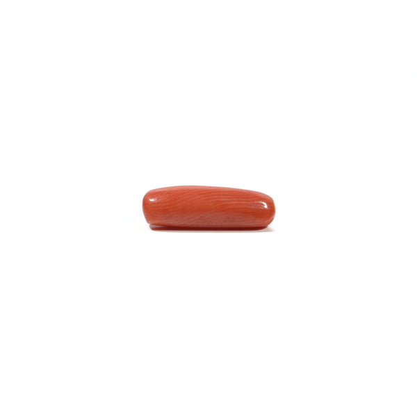 Red Coral - 4.95 Carat