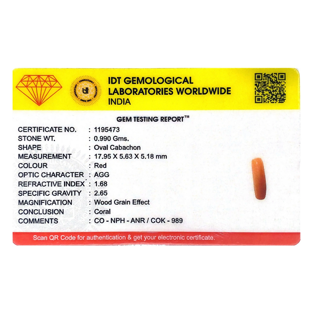 Red Coral - 4.95 Carat