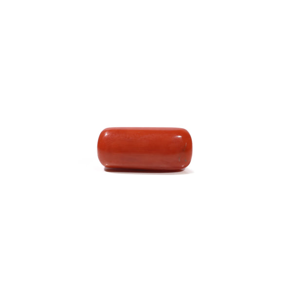 Red Coral - 9.8 Carat - Pramogh