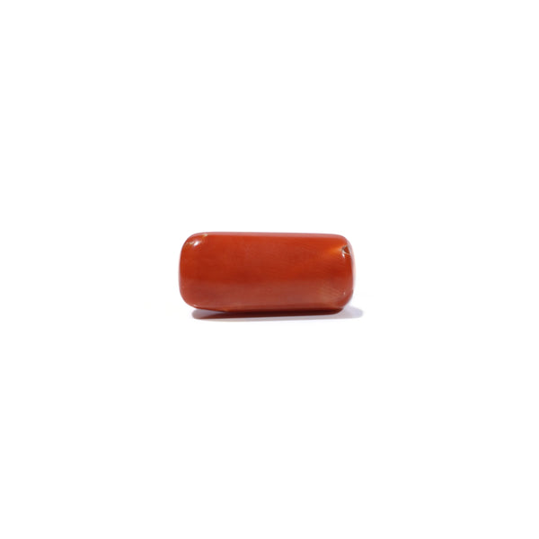 Red Coral - 9.8 Carat