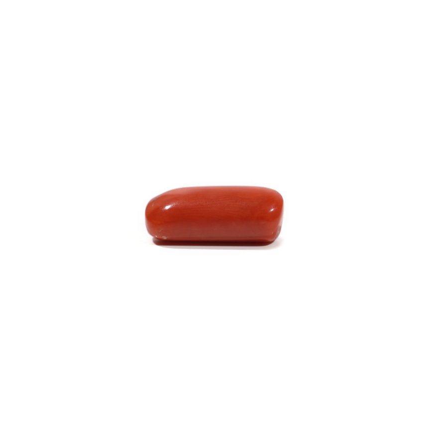 Red Coral - 9.8 Carat