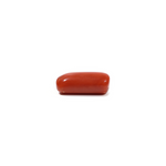 Red Coral - 9.8 Carat