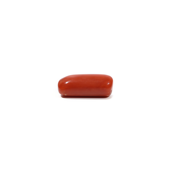 Red Coral - 9.8 Carat