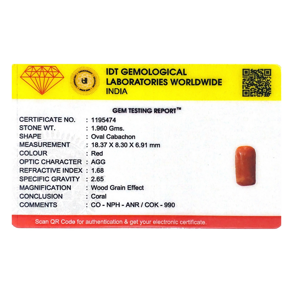 Red Coral - 9.8 Carat