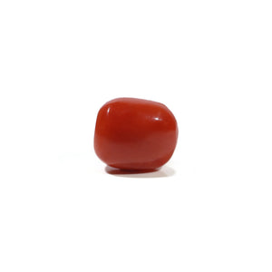 Red Coral - 5.04 Carat - Pramogh