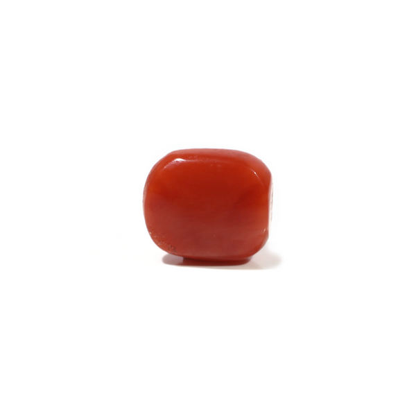 Red Coral - 5.04 Carat