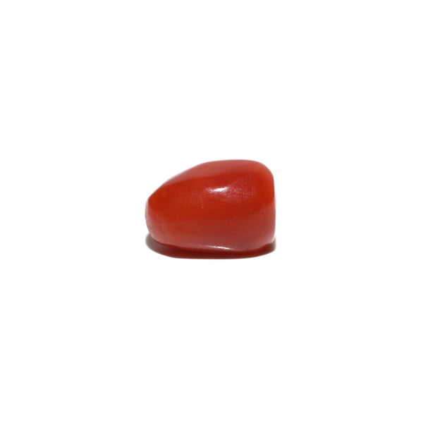 Red Coral - 5.04 Carat