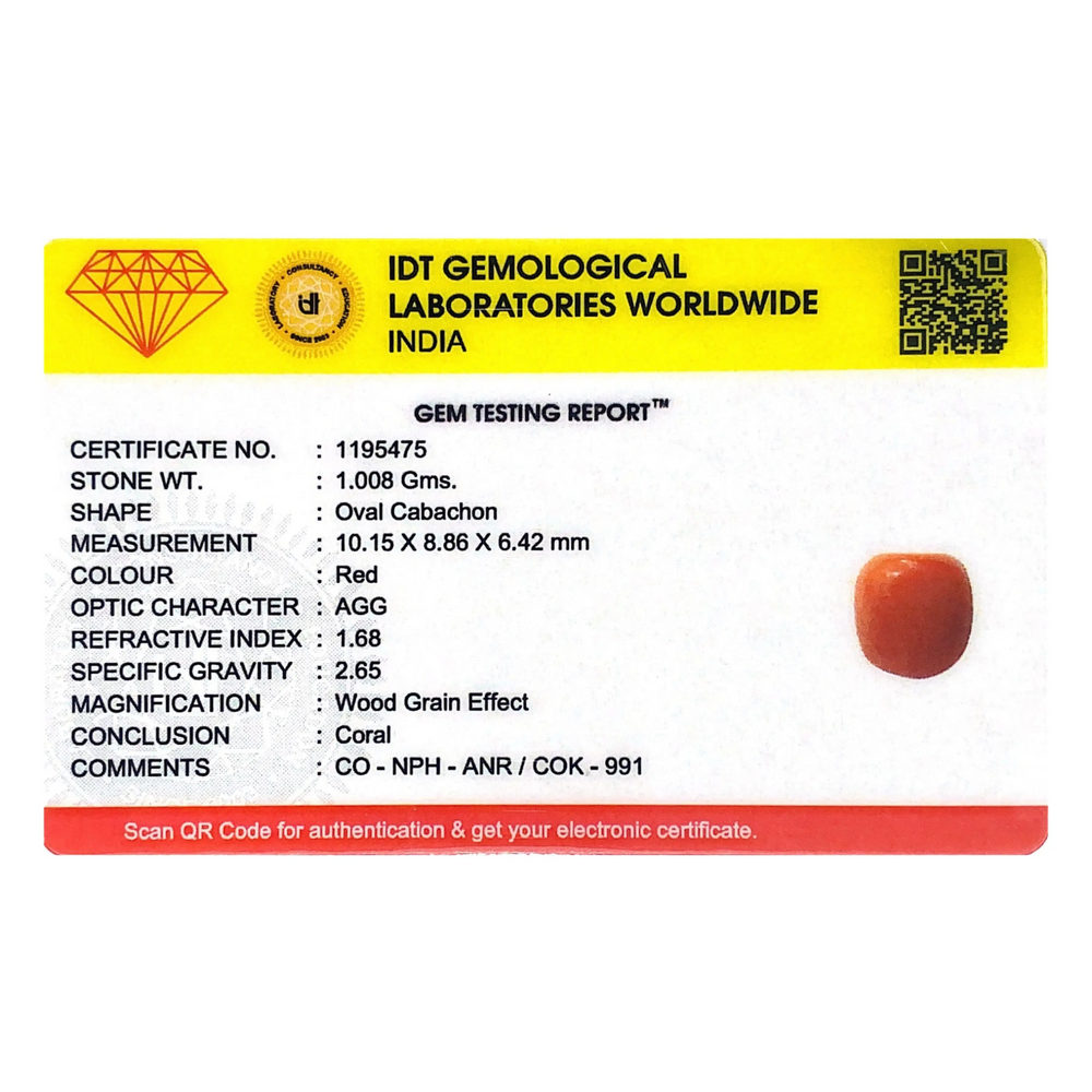 Red Coral - 5.04 Carat