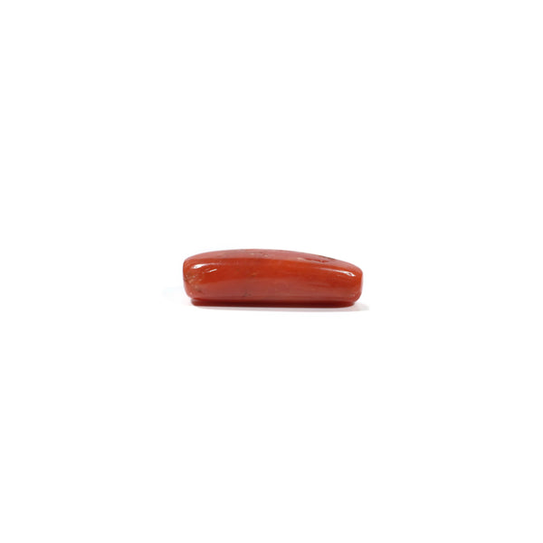 Red Coral - 6.75 Carat