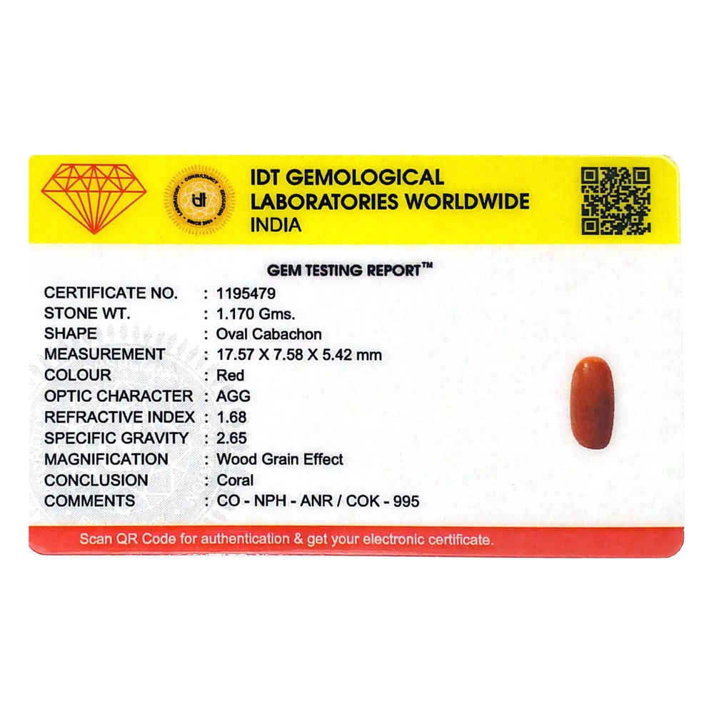 Red Coral - 5.85 Carat
