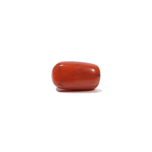 Red Coral - 5.7 Carat - Pramogh