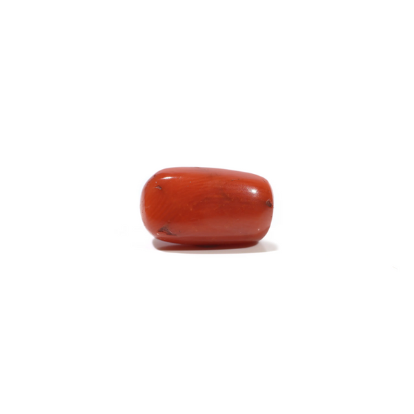 Red Coral - 5.7 Carat - Pramogh