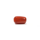 Red Coral - 5.7 Carat - Pramogh