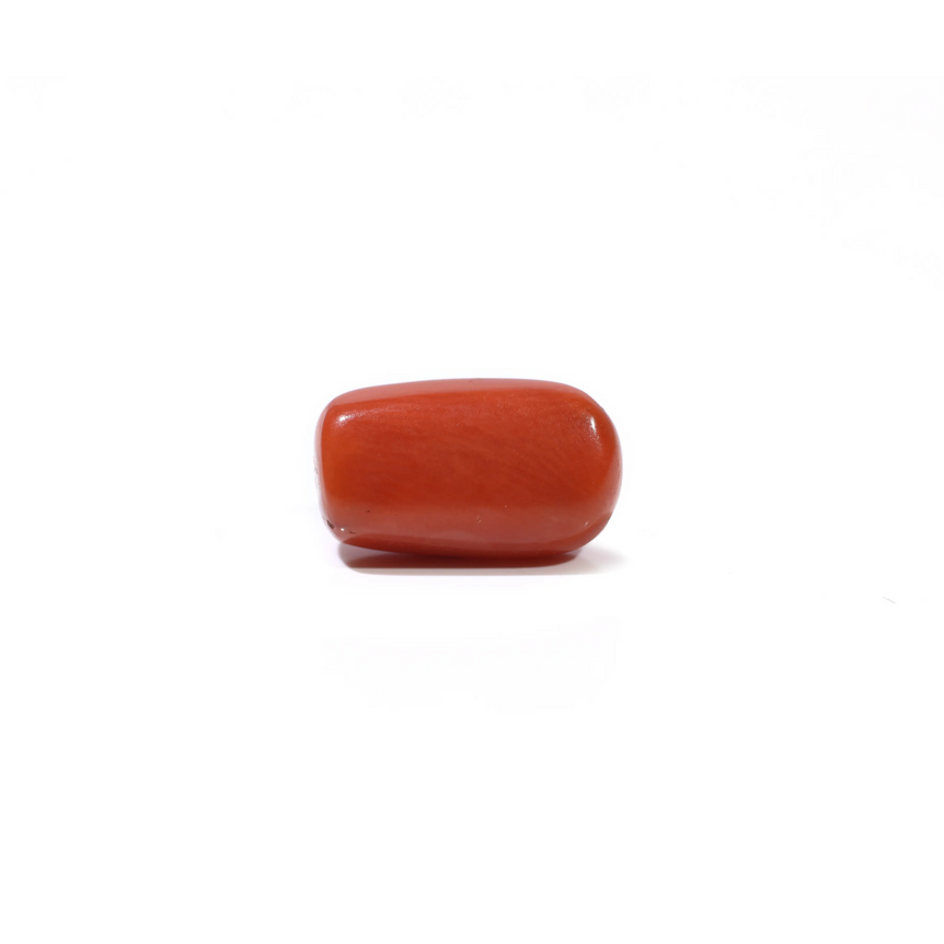 Red Coral - 5.7 Carat