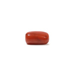 Red Coral - 5.7 Carat