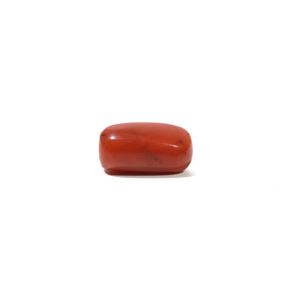 Red Coral - 5.7 Carat