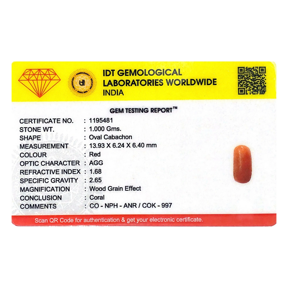 Red Coral - 5 Carat
