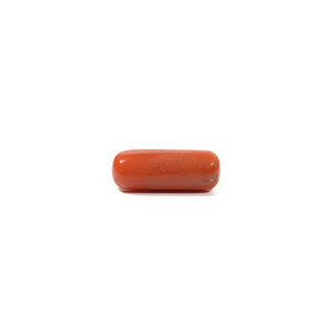 Red Coral - 5.25 Carat - Pramogh