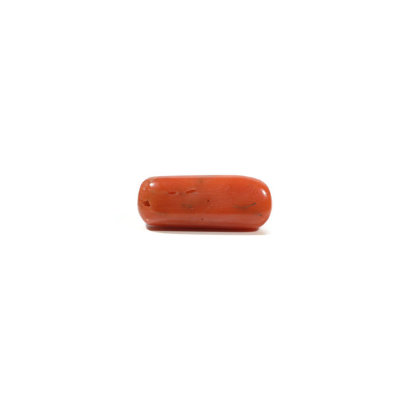 Red Coral - 5.25 Carat
