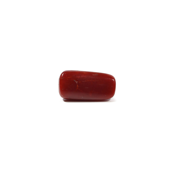 Red Coral - 4.8 Carat