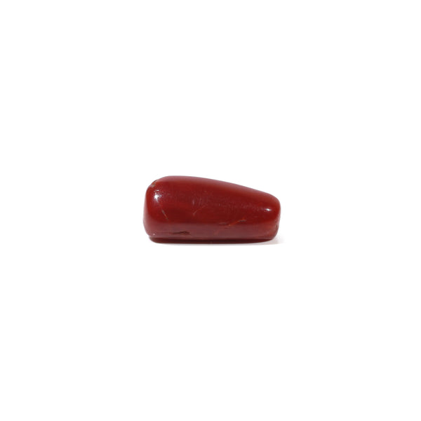 Red Coral - 4.8 Carat