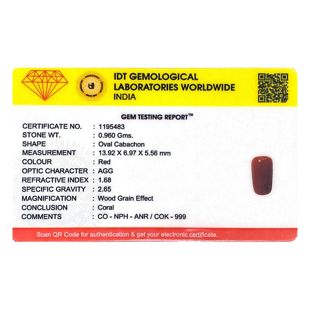 Red Coral - 4.8 Carat