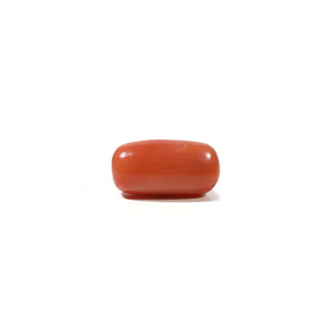 Red Coral - 5.55 Carat - Pramogh