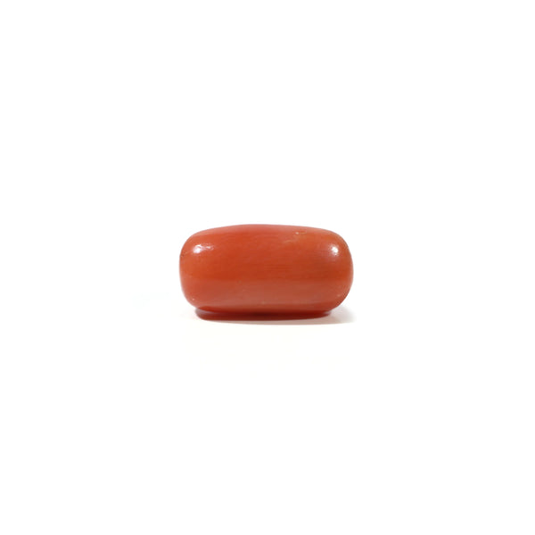 Red Coral - 5.55 Carat - Pramogh
