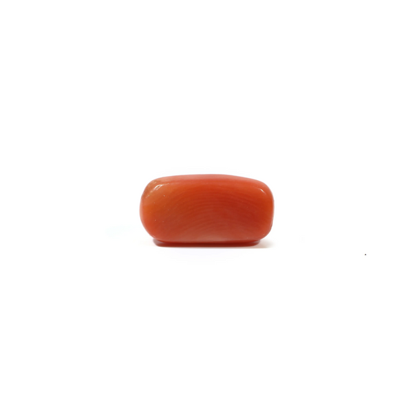 Red Coral - 5.55 Carat