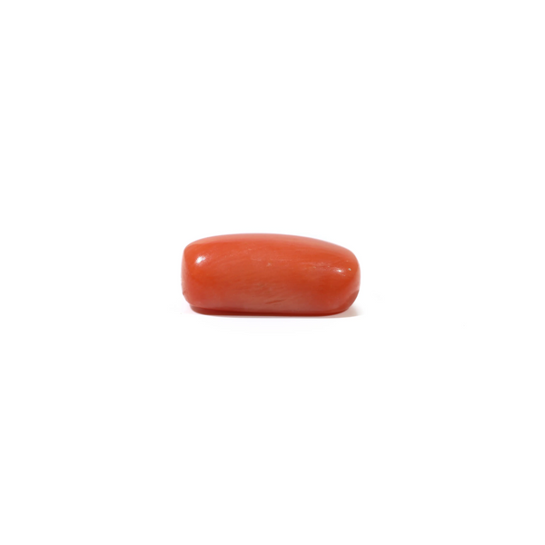 Red Coral - 5.55 Carat