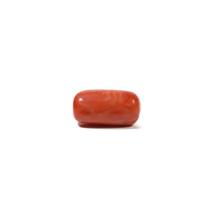 Red Coral - 5.75 Carat - Pramogh