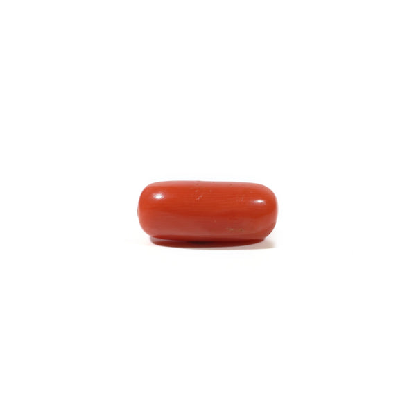 Red Coral - 6.35 Carat - Pramogh