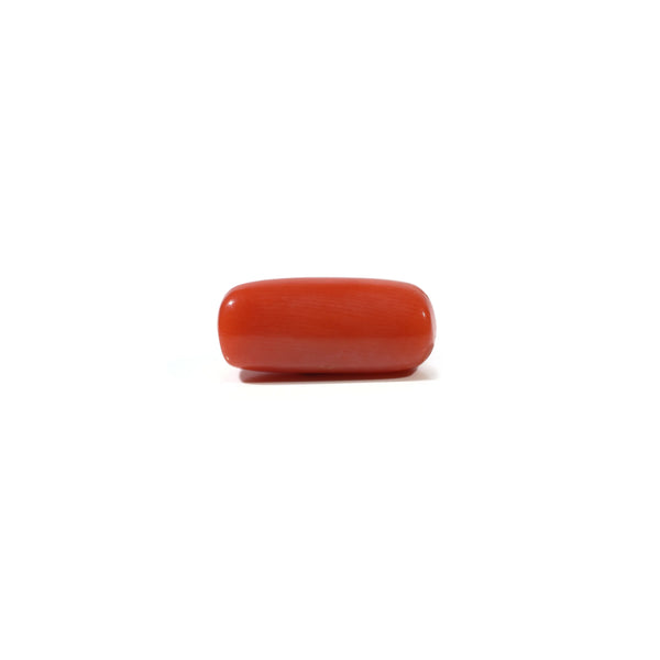 Red Coral - 6.35 Carat
