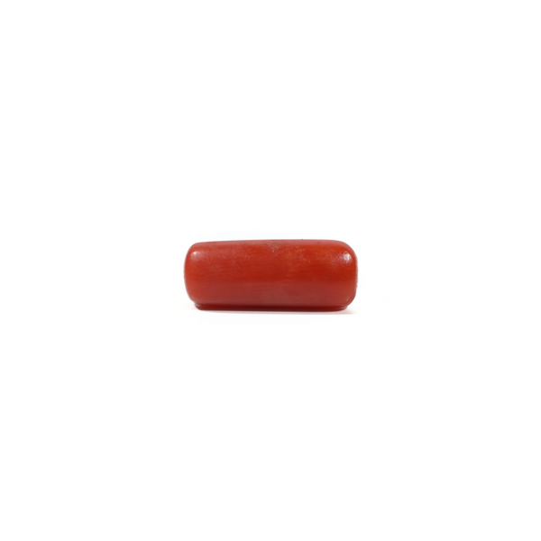 Red Coral - 5.45 Carat