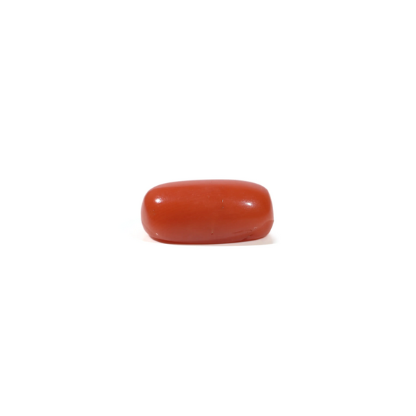 Red Coral - 5.45 Carat