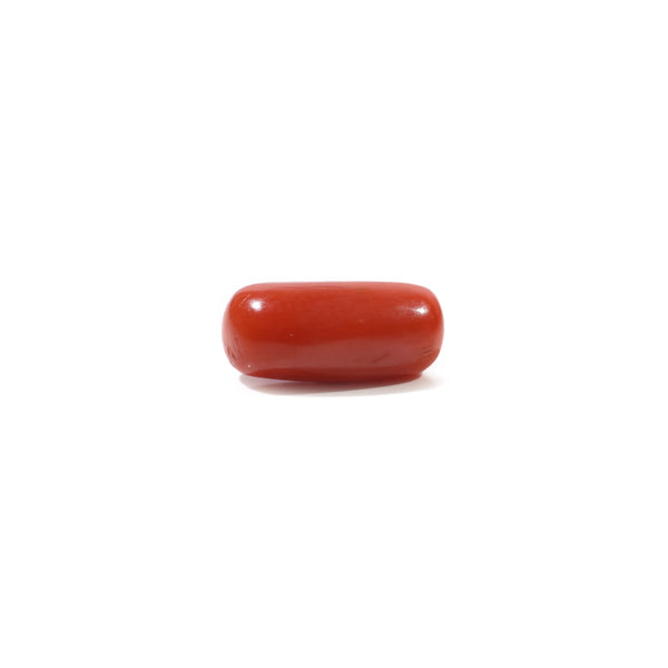Red Coral - 4.95 Carat - Pramogh