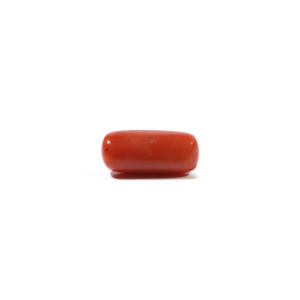 Red Coral - 4.95 Carat
