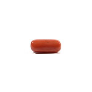 Red Coral - 6.85 Carat - Pramogh