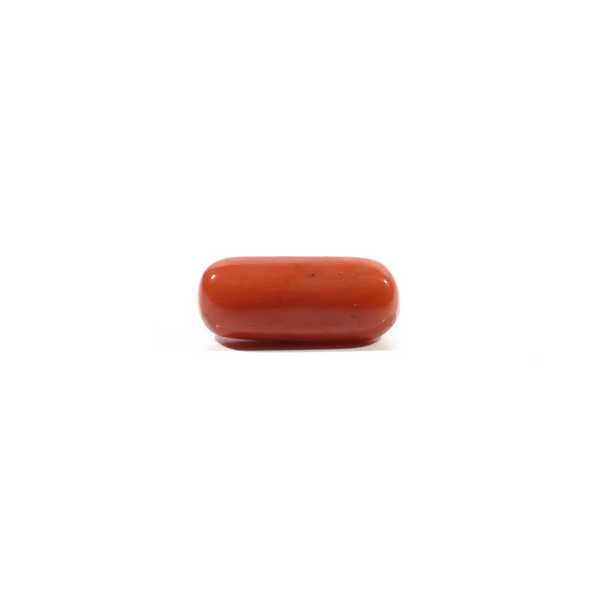 Red Coral - 6.85 Carat - Pramogh