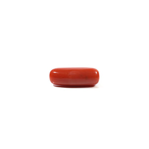 Red Coral - 4.8 Carat - Pramogh