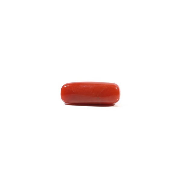 Red Coral - 4.8 Carat