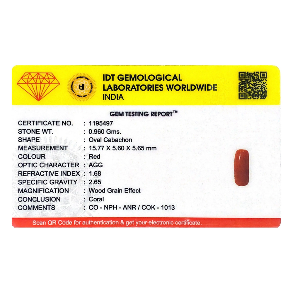 Red Coral - 4.8 Carat