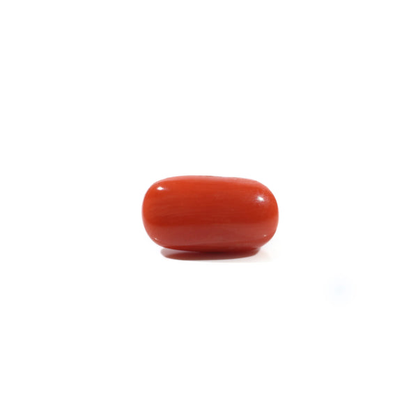 Red Coral - 5.1 Carat - Pramogh